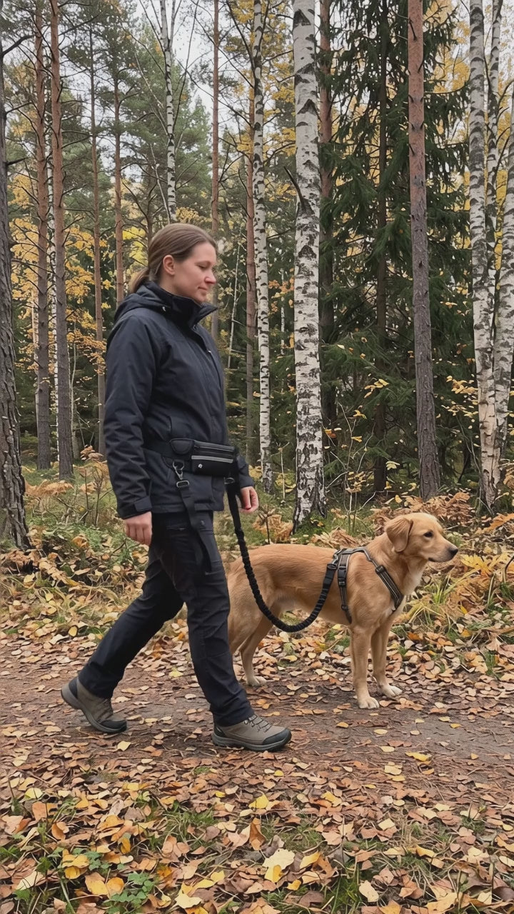 AI-genererad film: kvinna och hund på höstig skogsstig, kopplet sitter i midjebältet och båda händerna är fria