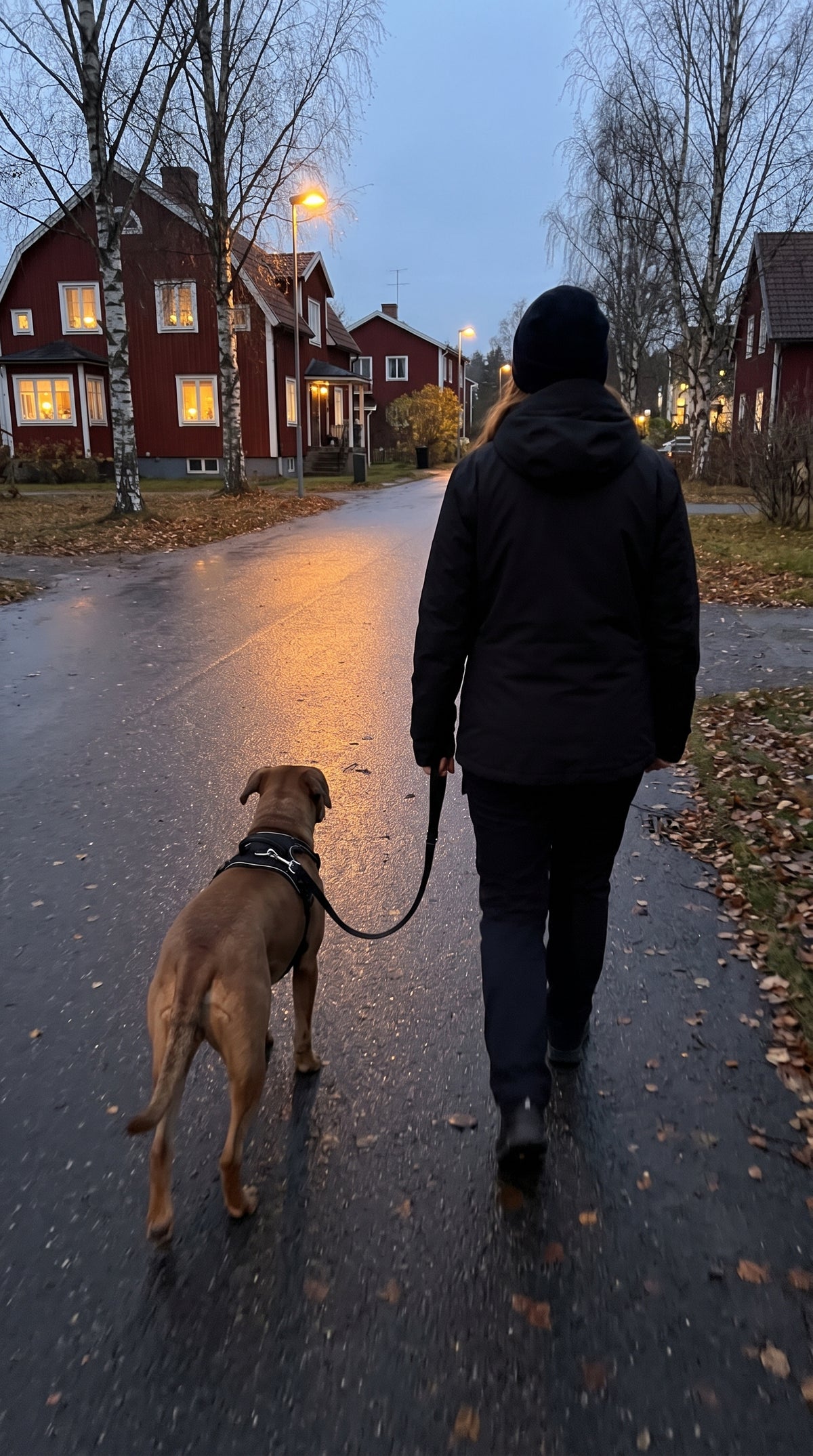 Kvinna och hund går hemåt i skymningen bland röda trähus och gatlyktor.