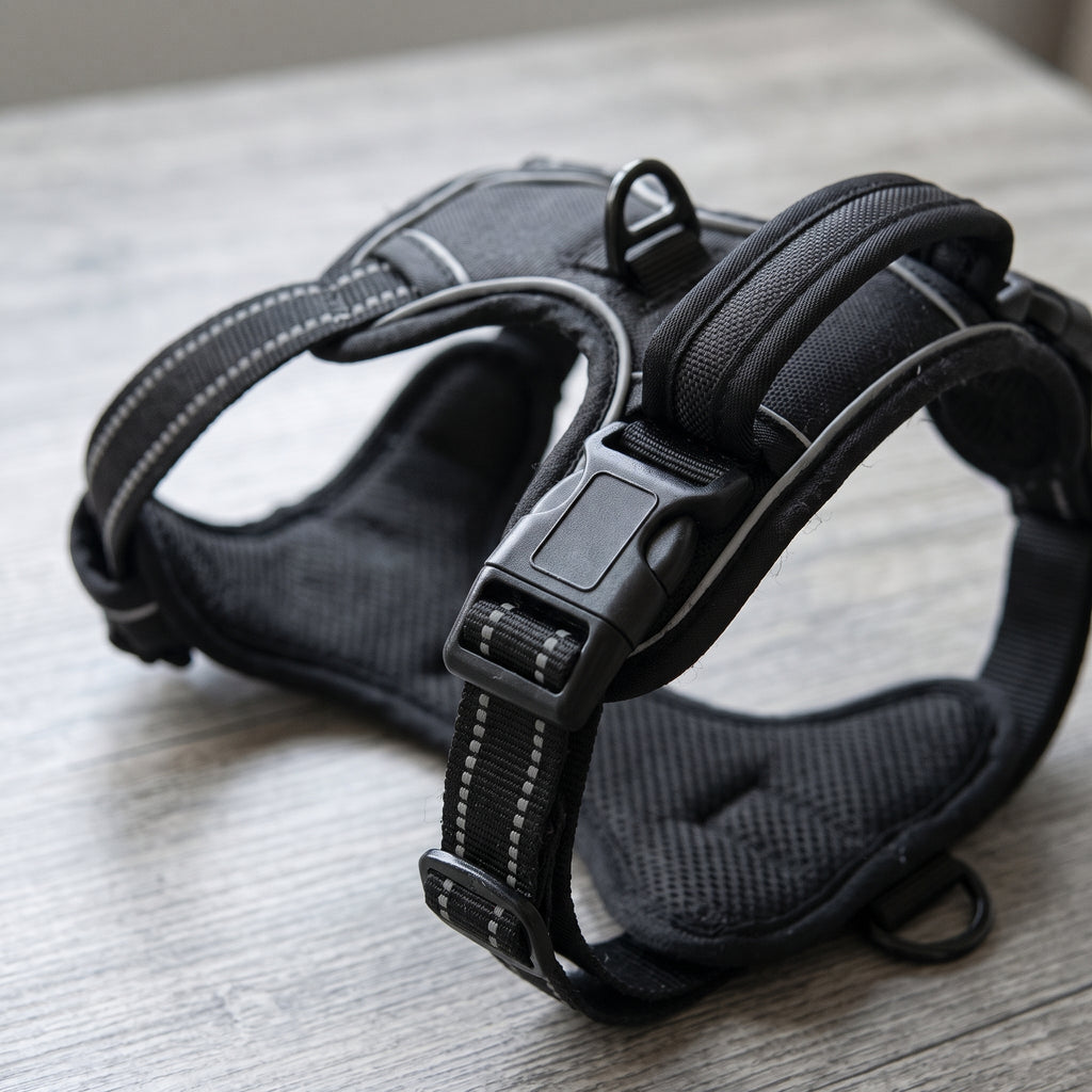 Närbild på svart hundsele med justerbart spänne, fästring och reflexremsa
