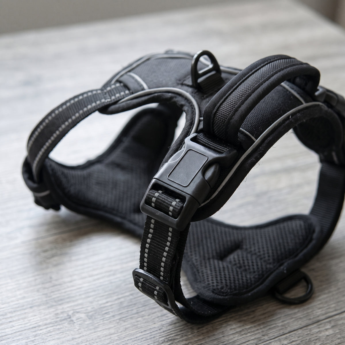 Närbild på svart hundsele med justerbart spänne, fästring och reflexremsa
